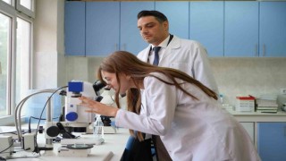 Kuraklığın ardından sinek istilası başladı