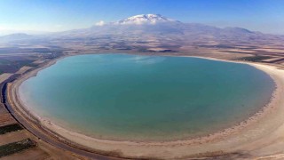Kuş cenneti Arin Gölü gün geçtikçe alan kaybediyor