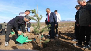 Kütahyada fidan dikimi etkinliği gerçekleştirildi