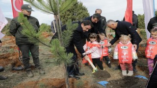 Kütahyada hatıra ormanına 2 bin fidan dikildi