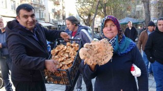 Kütahyada melki mantarı çoğaldı, fiyatlar düştü
