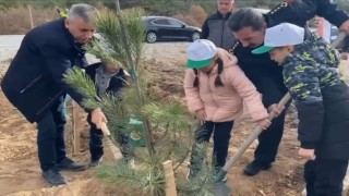 Kütahyada şehitler anısına 400 fidan toprakla buluştu