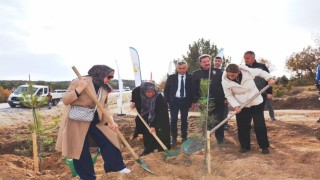 Kütahyada şehitler için 350 fidan toprakla buluştu