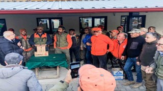 Mahsullerini korumak isteyen üreticiler domuzlarla mücadele ediyor