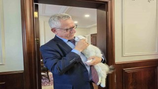 Makamında kedi besleyen Başkan Arslan, hayvan dostu projeleriyle de örnek oluyor