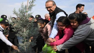 Malatyada 733 bin fidan toprakla buluştu