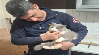 Malatyada havalandırma boşluğuna düşen kedi kurtarıldı