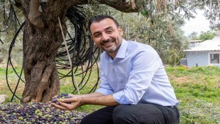 Manavgatta Zeytin ve Zeytinyağı Festivalinin ikincisi başlıyor