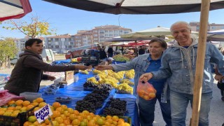 Mandalinanın fiyatı geçen seneye göre yüzde 30 düştü