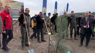 Manisada 2025 sonuna kadar 3,1 milyon fidan toprakla buluşacak