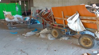 Manisada at arabası operasyonu: İki at arabası trafikten men edildi