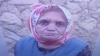 Mantar toplamak için gittiği ormanlık alanda cansız bedeni bulundu