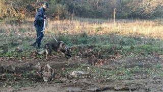 Mantar toplamak için gittiği ormanlık alanda kaybolan adamı 96 kişilik ekip arıyor