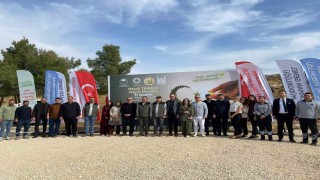 Mardian Malldan milli ağaçlandırma gününe anlamlı destek