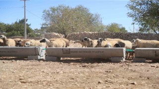 Mardin Büyükşehir Belediyesi 5 ilçede 330 adet sıvat dağıttı