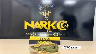 Mardinde uyuşturucu operasyonunda 2 şüpheli yakalandı