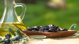 Marmarabirlikten 761 milyon liralık ödeme