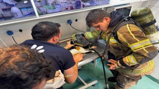 Mazgala düşen kayıp köpek ve yangında mahsur kalan kediler itfaiyenin çabasıyla kurtarıldı