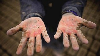 Mevsimlik Tarımda Çocuk İşçiliğine Sıfır Tolerans