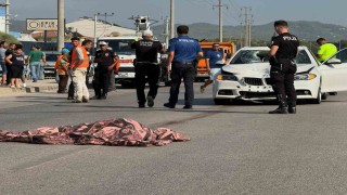 Milletvekilinin ölümüne sebep olan genç sürücü tahliye oldu