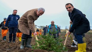 Milli Ağaçlandırma Gününde Kırklarelinde fidanlar toprakla buluştu