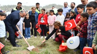 Milli Ağaçlandırma Günü’nde Zeytin Fidanları Toprakla Buluştu