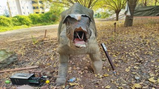 Milyonlarca lira harcanan Dinazor Park çürümeye terk edildi