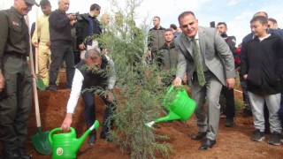 Muğlada 33 bin fidan toprak ile buluştu