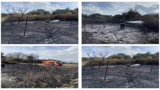 Muğlada üzüm bağları alevlere teslim oldu