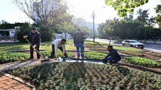 Muratpaşada Trafik Parkı çiçek bahçesine dönüştü