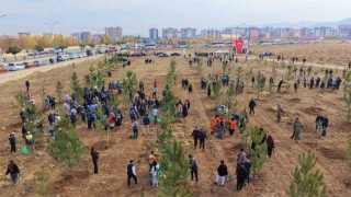 Muşta 20 bin fidan toprakla buluşturuldu