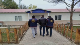 Muşta dolandırıcılık suçundan aranan hükümlü yakalandı