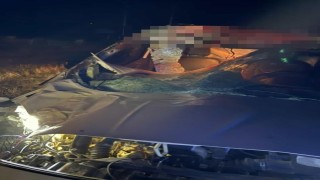 Muşta hafif ticari araç ata çarptı: 2 yaralı