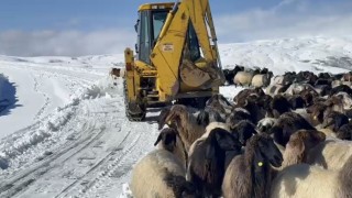 Muşta yoğun kar yağışı