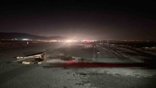 Muşta yola çıkan inekler kazaya neden oldu: 1 yaralı