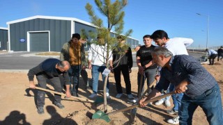 NEÜ, iki farklı etkinlikle şehitlerin hatırasını yeşertti