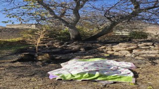 Nevşehirde bahçe temizliği facia ile sonuçlandı