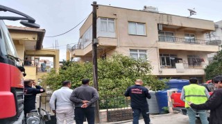 Ocakta unutulan yemekten çıkan yangında 2 kedi telef oldu