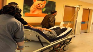 Odun kesmek isterken, ayağını kesti