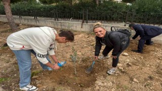Okul bahçesine 60 zeytin fidanı dikildi