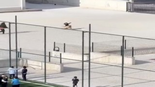 Okul bahçesine giren köpek çocuklara büyük panik yaşattı: O anlar kameraya yansıdı