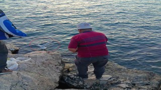 Oltaya bu kez balık yerine martı takıldı