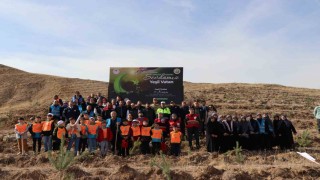 Oltuda 3 bin fidan toprakla buluştu