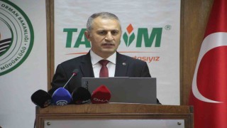 Ordu 16 bin 750 ton ile Türkiyenin en fazla bal üretimini yapan il