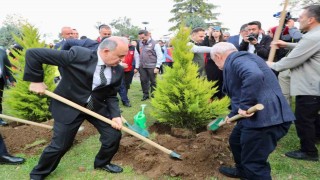Orduda 350 bin fidan toprakla buluşturulacak