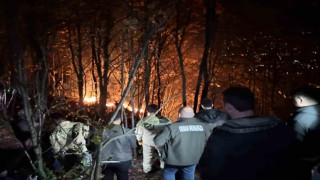 Orduda ormanlık alanda yangın