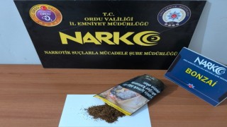 Orduda uyuşturucu operasyonlarında 5 tutuklama