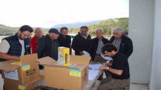 Organik tarıma mavi ve sarı yapışkan tuzak desteği