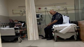 Ormandaki mantarları yiyen 7 kişi hastanelik oldu