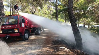 Ormanlık alanda çıkan yangını vatandaşlar söndürdü